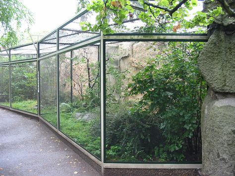 Squirrel Habitat, Rabbit Colony, Aviary Design, Biome Project, Outdoor Pet Enclosure, Woodland Park Zoo, Zoo Ideas, Zoo Architecture, Pet Bird Cage