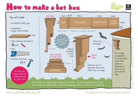 BioSol Ecology on Twitter: "Great #WeekendFun family idea to make a bat box to encourage #bats to roost in your garden next year. #WildAboutGardens https://t.co/9kli1FBiqM" Bat Box Plans, Build A Bat House, Bat Boxes, Bat Box, Forest School Activities, Bat House, Insect Hotel, Bird House Plans, Box Building