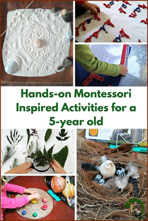 Hands-on Montessori Inspired Activities for a 5-year Old. Montessori Homeschool | Educational Activities | Montessori At Home | Montessori Nature Blog | DIY Activities for kids Diy Montessori, Montessori Lessons, Practical Life Activities, Montessori Homeschool, Montessori Practical Life, Motor Development, Montessori Education, Montessori Classroom, Sensory Development