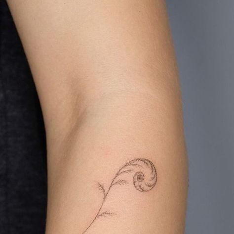 Koru Fern Tattoo, Nz Flower Tattoo, Koru Tattoo Design, Maori Koru Tattoo, Koru Tattoo Maori, Fern Stick And Poke, Curled Fern Tattoo, Tiny Fern Tattoo, Nz Tattoo Ideas