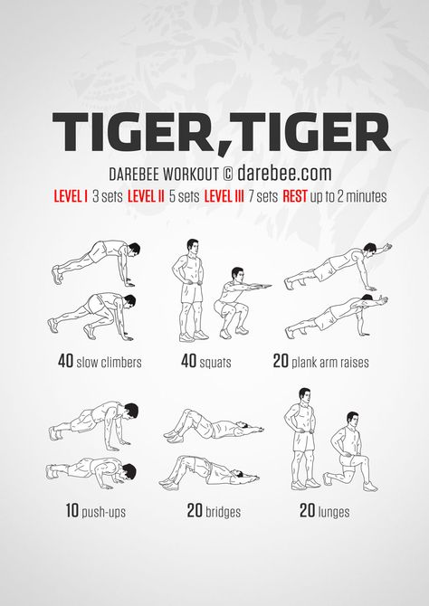 “Tiger, tiger, burning bright In the forests of the night, What immortal hand or eye Dare frame thy fearful symmetry?” William Blake. 1757–1827 When you talk about “fearful symmetry” you know the subtext is animal power. This workout may not quite... Tiger Body, Neila Rey Workout, Neila Rey, Basic Training, Tiger Tiger, Printable Workouts, Martial Arts Workout, William Blake, Crossfit Games