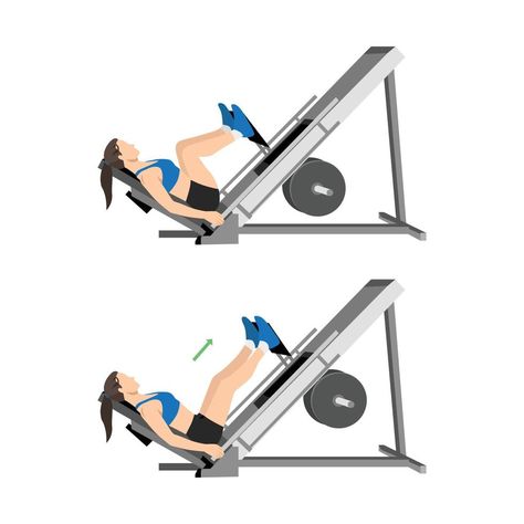 Hip Extension Exercise, Leg Press Workout, People Illustrations, Technology Projects, Vector People, Squat Workout, Flat Vector Illustration, Leg Press, Legs Workout