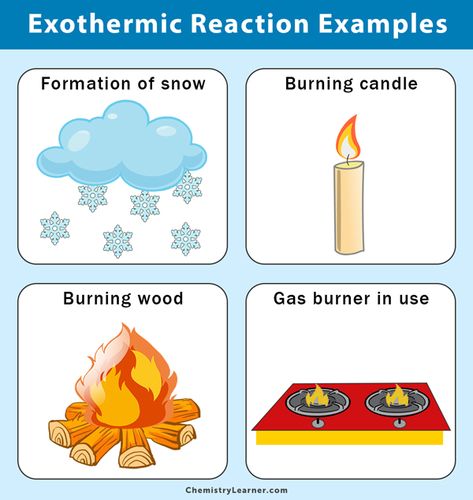 Piping Engineering, Exothermic Reaction, Science Revision, Chemistry Basics, Hair Science, Chemistry Set, Physics Notes, Periodic Table Of The Elements, Biology Facts