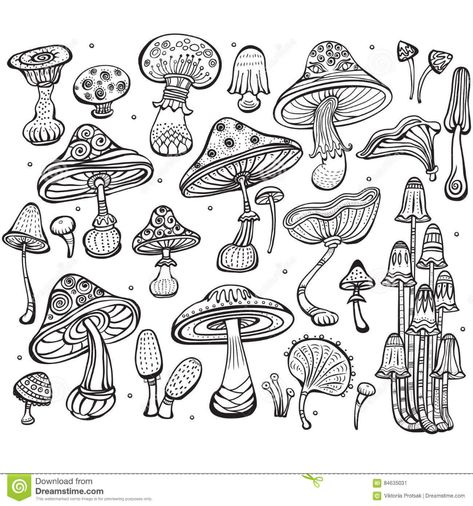 Illustration about Set of Sketch of different mushrooms. Illustration of biology, black, sketch - 84635031 Magical Forest Sketch, Mushroom Bujo, Types Of Mushrooms, Mushroom Tattoos, Arte Indie, Mushroom Drawing, Doodle Art Drawing, Tattoo Flash Art, Mushroom Art