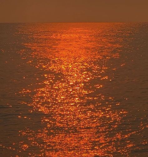 Naranja Aesthetic, Orange Nature Aesthetic, Vintage Sunset, Sunset Orange Aesthetic, Orange Vintage Aesthetic, Orange Aesthetic, Aesthetic Colors, Aesthetic Photo, Cali