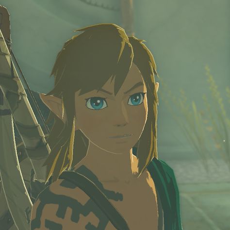 * Legend of Zelda pfp totk botw Tears of kingdom breath of the wild Link Link Icon, Link Botw, Zelda Totk, Legend Of Zelda Memes, Inuyasha Fan Art, Shigeru Miyamoto, Zelda Tears Of The Kingdom, World Icon, Tears Of The Kingdom