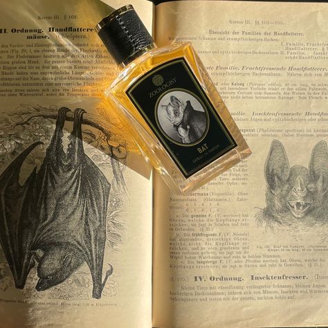 Niche Perfume Aesthetic, Zoologist Perfume, Fig Perfume, Book Perfume, Night Blooming Jasmine, Indie Perfume, Perfume Aesthetic, Vintage Perfumes, Fragrances For Men