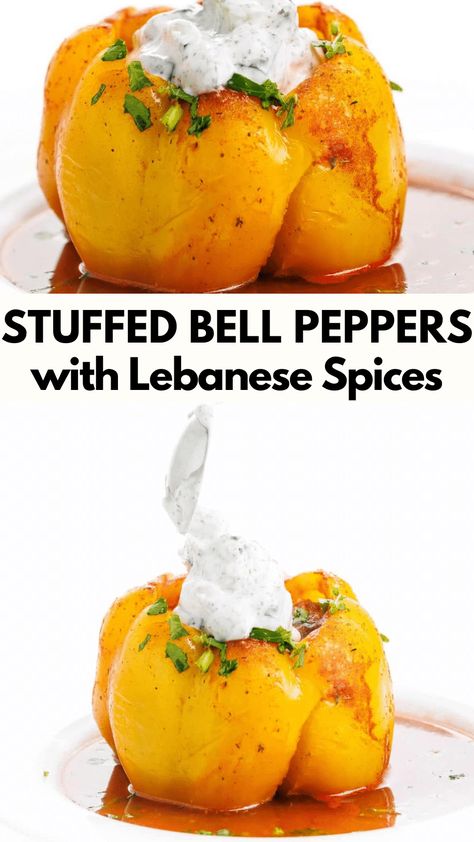 These stuffed bell peppers with Lebanese spices are filled with beef and rice then cooked in a garlic and mint infused tomato broth. Lebanese Appetizers, Lebanese Spices, Lebanese Garlic Sauce, Stuffed Grape Leaves, Lemon Bowl, Tomato Broth, Green Peppers, Beef And Rice, Toasted Pine Nuts