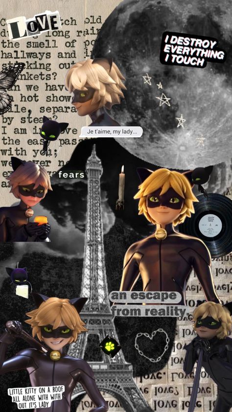 #catnoir #miraculous #miraculousladybugandchatnoir #miraculouscatnoir #aesthetic #miraculous #black #blackandwhite Miraculous Cat Noir, Aesthetic Miraculous, Adrien Miraculous, Catnoir And Ladybug, Tikki Y Plagg, Black Cat Aesthetic, Black Woman Artwork, Best Friend Pictures Tumblr, Miraculous Ladybug Oc