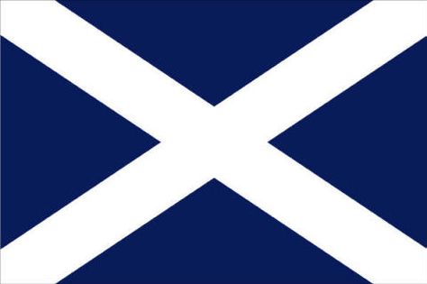 Room 101, St Andrews Cross, Flag Of Scotland, Saint Andrew, Celtic Traditions, Scotland Forever, Scottish Gaelic, Highland Games, Scotland Highlands