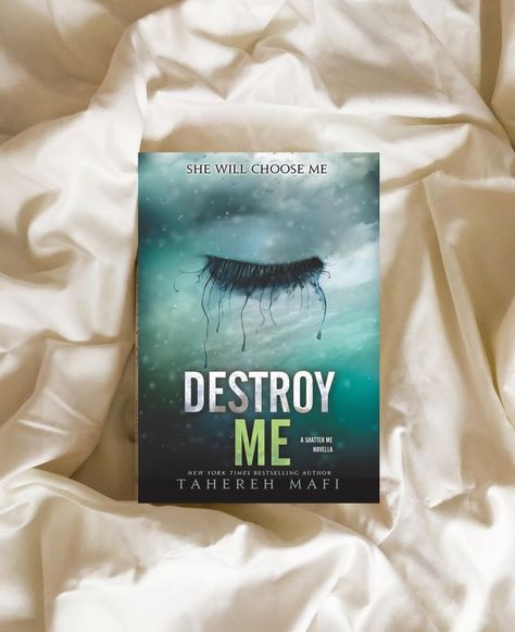 Destroy Me Book Cover, Destroy Me Book, February Aesthetic, 2024 Books, Destroy Me, Bookshelf Inspiration, Contemporary Novels, Book Cover Page, Book Wishlist