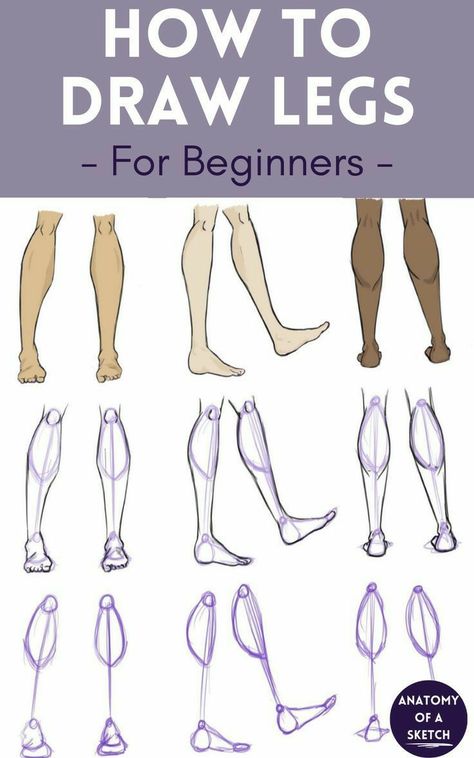 Leg Anatomy, Beautiful Pencil Drawings, Human Legs, Drawing Legs, Human Body Drawing, Anatomy Tutorial, Human Anatomy Drawing, Body Drawing Tutorial, Human Figure Drawing