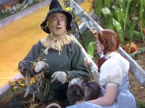 Dorothy & Scarecrow from The Wizard of Oz. Scarecrow Wizard Of Oz, Ray Bolger, Make A Scarecrow, Wizard Of Oz Movie, Scarecrow Makeup, Wizard Of Oz 1939, Oz Movie, Scarecrow Costume, Oscar Winning Movies