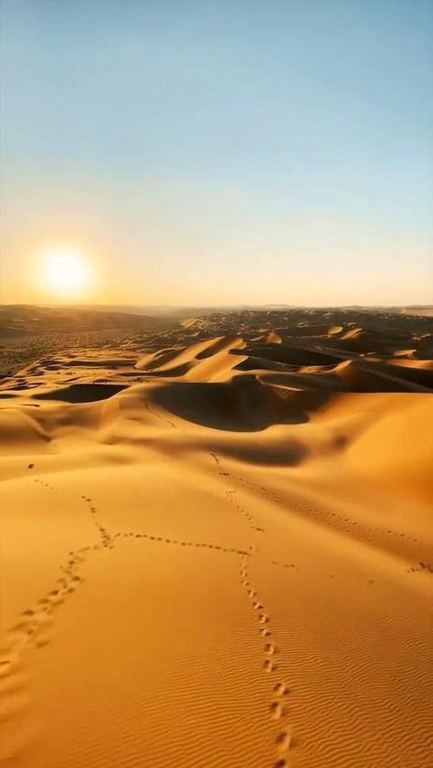 A romantic sunset in the sand dunes of Abu Dhabi [Video] | Beautiful photos of nature, Beautiful nature scenes, Nature pictures Deserts Video, Desert Videos, Desert Video, Video Gospel, Beach Mountain, World Video, Deserts Of The World, Best Travel Destinations, Video Show