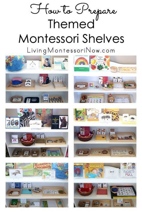 Montessori Shelves, Elementary Montessori, Montessori Trays, Montessori Activities Preschool, Montessori Shelf, Montessori Parenting, Montessori Elementary, Montessori Lessons, Montessori Playroom