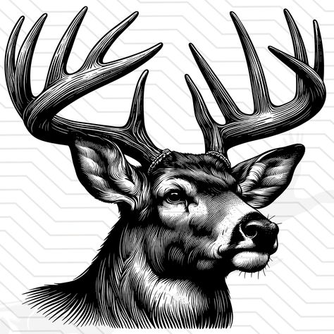 Hunting Drawings, Buck Silhouette, Deer Stencil, Deer Vector, Deer Artwork, Big Buck, Deer Graphic, Deer Svg, Deer Drawing