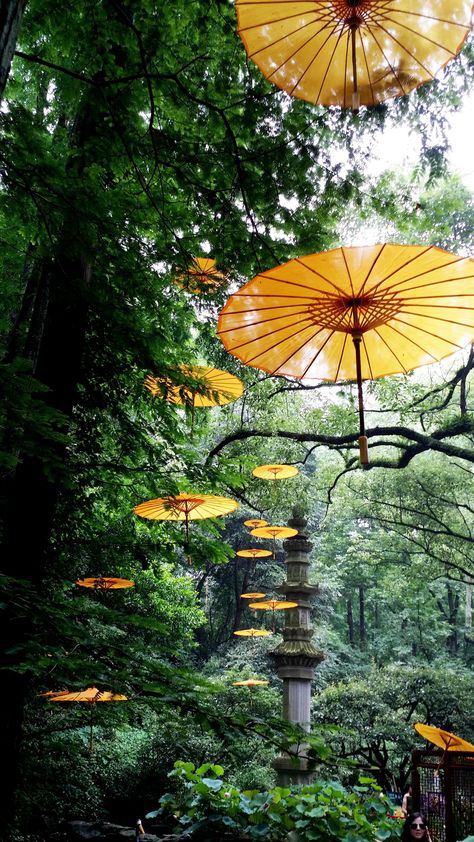 Dreaming of Tiger Spring at Hupao Valley. Imagine the umbrella are taking you to another dream journey? #umbrella #forest Broken Face, Asian Umbrella, Oil Paper Umbrella, Chinese Places, Tiananmen Square, Japanese Umbrella, Yellow Umbrella, I Love Green, Umbrella Art