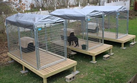 25 Best Outdoor Dog Kennel Ideas – Page 3 – The Paws Outdoor Dog Kennel Ideas, Dog Kennel Ideas, Dog Kennel Flooring, Dog Kennel And Run, Outdoor Dog Area, Diy Dog Run, Kennel Ideas Outdoor, Boarding Kennels, Dog Backyard