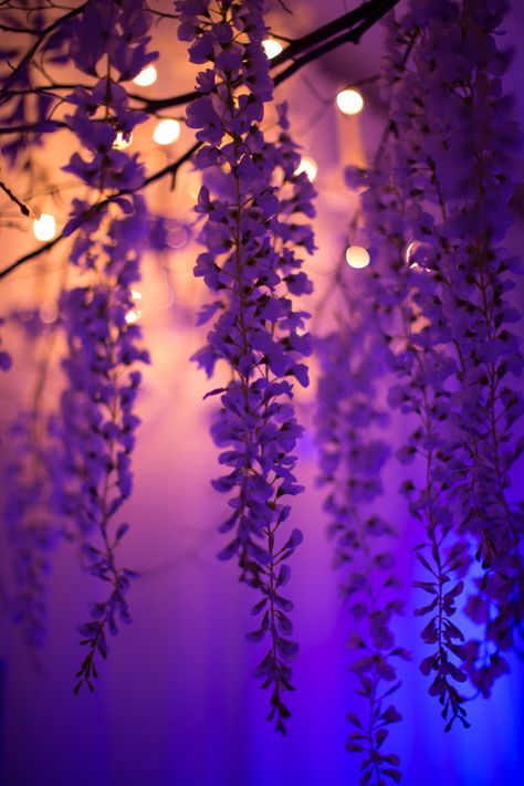 Purple Hanging Flowers, Purple Flowers Wallpaper, Flowers Photography Wallpaper, Wallpaper Collage, Trending Pins, Pretty Landscapes, Cool Wallpapers Art, Beautiful Landscape Wallpaper, Phone Wallpaper Images