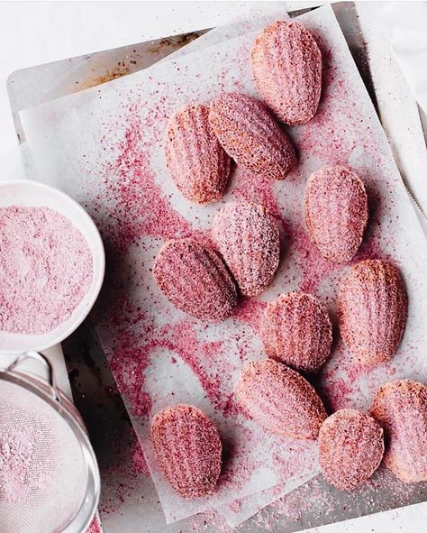 Instagram'da Foodtography School: “pretty in pink! meyer lemon madeleines with a raspberry sugar dusting. photo by foodtography alum, @studiobaked. #foodtographyschool” Lemon Madeleines, Cooking Lover, Mini Treats, Food Fantasy, Milk Magazine, Food Photography Inspiration, Pink Foods, Meyer Lemon, Lemon Raspberry