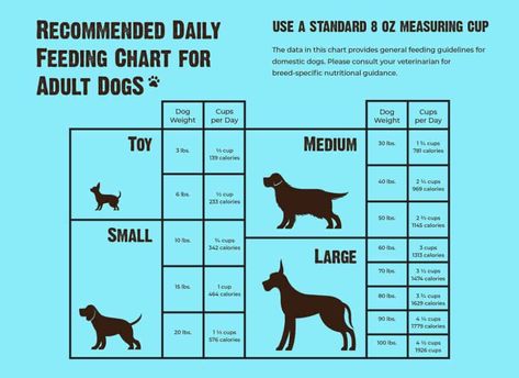 Dog Barf Diet, Barf Diet For Dogs, Cat Gadgets, Dog Diet Plan, Dog Homemade, Raw Feeding For Dogs, Ground Beef And Potatoes, Cheesy Chicken Broccoli, Broiled Chicken