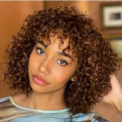 Lace Front Wigs Brown, Human Hair Curly Wigs, Wigs Brown, Wigs Color, Curly Wig With Bangs, Short Curly Wig, Wigs Short, Human Wigs, Glueless Wig