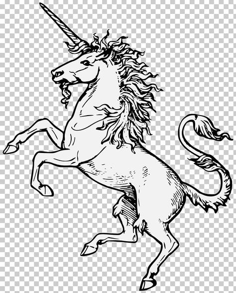 Scotland Unicorn Tattoo, Unicorn Coat Of Arms, Scottish Unicorn Art, Medieval Horse Drawing, Medieval Horse Tattoo, Medieval Unicorn Tattoo, Scottish Unicorn Tattoo, Unicorn Scotland, Scotland Drawing