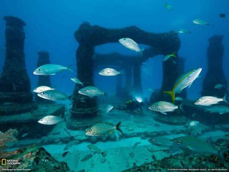 Jamaica's sunken city of sin-Port Royal...Sunken pirate city of Port Royal, Jamaica is finally coming back to life! - JobbieCrew.com Underwater Ruins, Underwater Sculpture, Underwater Wallpaper, Lost City Of Atlantis, Sunken City, Port Royal, Underwater Photos, Lost City, National Geographic Photos