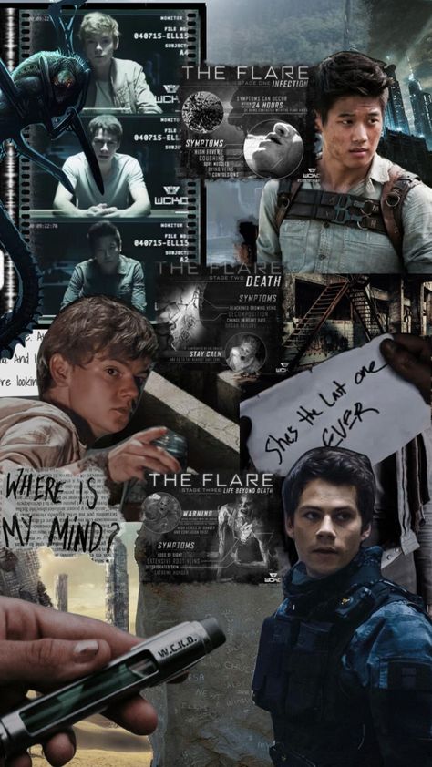 Maze Runner Collage, Runner Wallpaper, The Maze Runner, Aesthetic Moodboard, Newt, Maze Runner, Collage