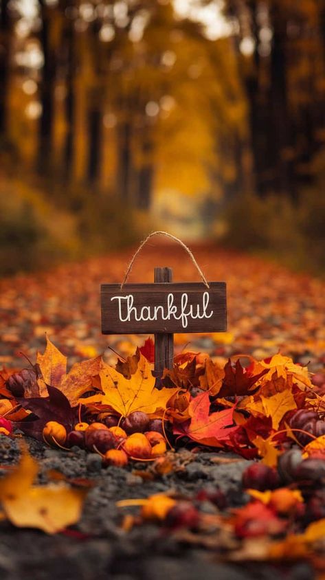 25+ Cute And Inspiring Thanksgiving Wallpapers for your Phone Grateful Background, Thanksgiving Wallpapers, Backgrounds For Android, Thanksgiving Pictures, Romantic Road, Canada Travel Guide, Thanksgiving Wallpaper, Luck Quotes, Good Luck Quotes