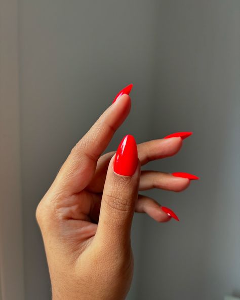 Obsessed ♥️🍁 @glamnetic fiery red 🍒 Use code ATLANTIC_BEAUTY for 15%off 🎈🎈 #glamnetic #glamneticpartner #pressons #pressonnails #glam #nails #red #fallnails #fallvibes #selfcare #grwm Red Nails Almond, Bright Red Nails, Colour Combos, Nails Red, Nails Almond, Glam Nails, Fiery Red, Almond Nails, Red Nails