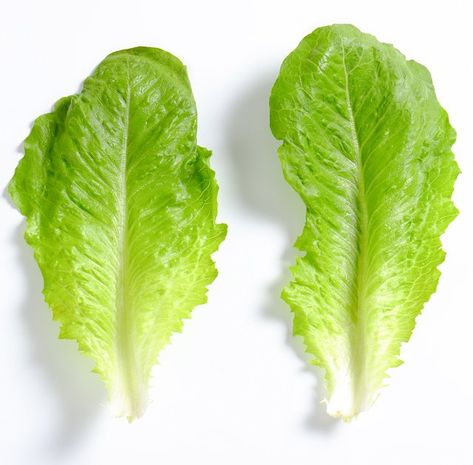 Pieces of lettuce - leaves Lettuce Romaine, Lettuce Leaves, Romaine Lettuce, Yellow Leaves, What To Make, All About Plants, Lettuce, Plant Leaves, Good Food