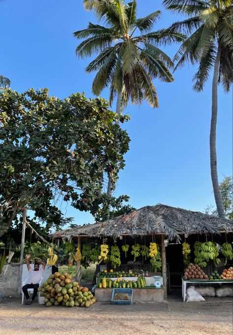 Banana stand in Salalah, Oman Middle East Aesthetic, Salalah Oman, Salalah, Arab Culture, About World, Oman Travel, World Photography, Travel Inspo, Dream Destinations