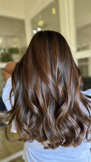 Mocha Babylights, Babylights Balayage, Rich Brown Hair, Warm Brunette, Hair 2024, Brown Balayage, Colour Ideas, Mocha Brown, Warm Brown