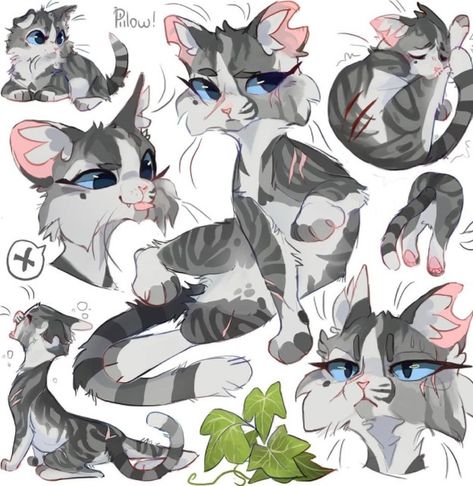 Graypillow Warriors, Graypillow Art, Warrior Cats Comics, Warrior Cats Books, Gray Pillow, Warrior Cats Fan Art, Warrior Cat Drawings, Warrior Cat Oc, Cat Oc