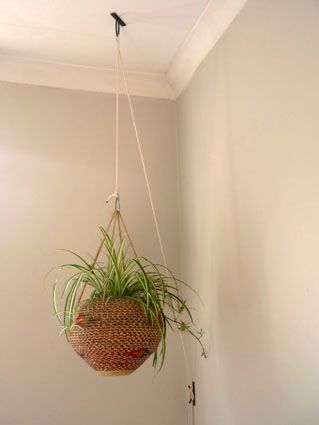 hanging plant holder on a pulley system! Plant Pulley, Hanging Plants Outdoor, Hanging Plants Diy, Pulley System, Hanging Plant Holder, Inside Plants, Succulent Terrarium, Hanging Plant, Macrame Plant Hangers