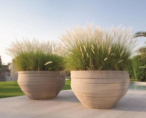 At Cosh Living, browse through our collection of outdoor pots today to find the right style, size and colour to suit your project or garden. Order now! Landscaping Entrance, Terrace Gardens, Soho Style, Clay Bowl, Casa Exterior, Planter Pots Outdoor, Landscape Designs, Outdoor Pots, Garden Containers