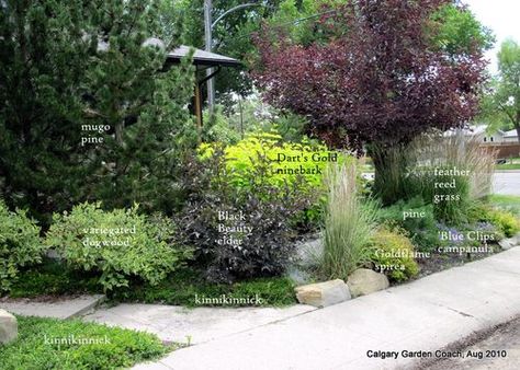 Calgary Garden Coach -   garden design for sustainable and kid-friendly gardens in zone 3 Alberta Yard Landscaping, Alberta Landscaping Ideas, Garden Education, Low Maintenance Landscaping Front Yard, Low Maintenance Yard, Front Garden Design, Front Yard Garden Design, Modern Garden Design, Low Maintenance Landscaping