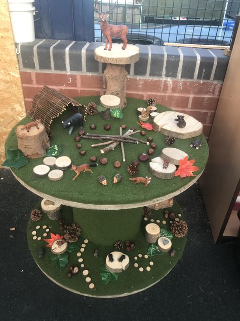 Hibernation Small World, Woodland Activities Eyfs, Owls Eyfs Activities, Woodland Animals Eyfs Activities, Autumn Small World Eyfs, Autumn Small World, Small World Eyfs, Autumn Eyfs Activities, Nature Based Classroom