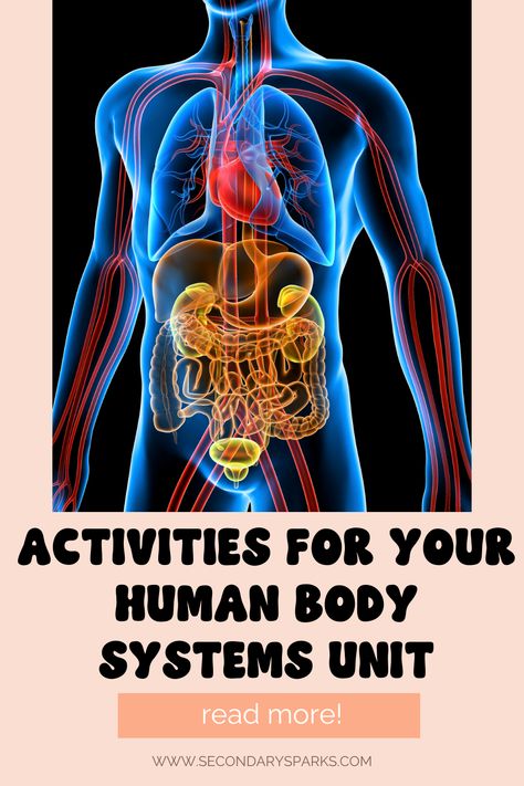 Engage your students in your human body systems unit with these 8 activities that can be easily added to your unit in life science. Perfect for a middle school science class, these engaging activities can enhance your unit to make students want to learn more while retaining the information that hits those NGSS standards. Learn more at secondarysparks.com. Middle School Life Science, Human Body Systems Activities, Body Systems Activities, Body Systems Project, Life Science Middle School, Middle School Life, Science Stations, 4 Grade, Science Lesson