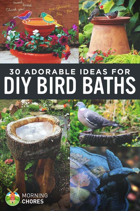 Do you want to attract birds to your garden? Why not provide them a space to bath? Here are 30 DIY bird bath ideas that will make a fun family project. Diy Bird Bath Ideas, Bird Bath Ideas, Bar Garden, Jardim Diy, Diy Bird Bath, Bird House Kits, Bird Bath Garden, Bench Diy, Diy Bird Feeder