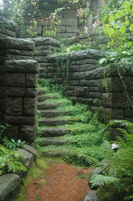 Antique Diy, Fantasy Inspo, Fairytale Garden, Garden Stairs, Hidden Garden, The Secret Garden, Green Forest, Old Stone, Bougainvillea