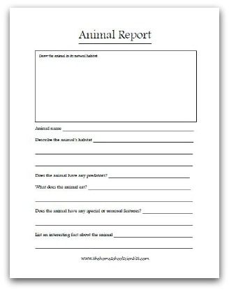 Animal Report Template (4) - TEMPLATES EXAMPLE | TEMPLATES EXAMPLE Animal Report Template, Animal Report, Animal Research, Research Paper Introduction, Homeschool Field Trips, Free Homeschool Printables, Animal Classification, First Grade Science, First Grade Activities