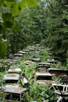 Apocalypse Aesthetic, Urban Exploring, Abandoned House, Abandoned Cars, Abandoned Buildings, Abandoned Houses, Nature Aesthetic, Pretty Places, End Of The World