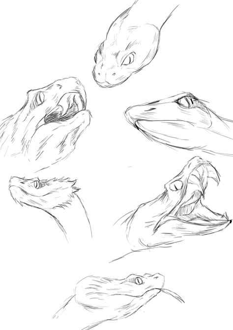 Snake Head Sketch, Snake Mouth Open, Snake Sketches, Snake Head Drawing, Sketch Mouth, Drawing Snake, Snake Outline, Snake Sketch, Kinds Of Snakes