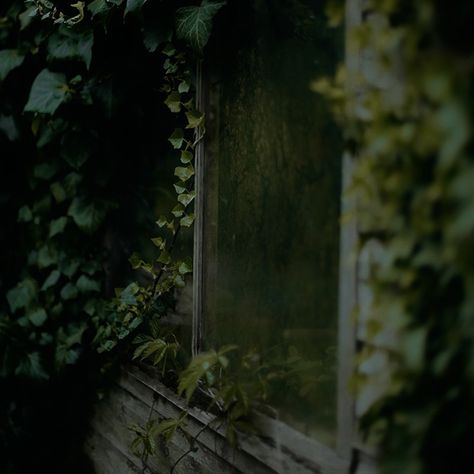 Grunge Witch Aesthetic, Moss Green Aesthetic, Moss Aesthetic, Green Witch Aesthetic, Grunge Witch, Dark Naturalism, Dark Fairycore, Dark Green Aesthetic, Aesthetic Green