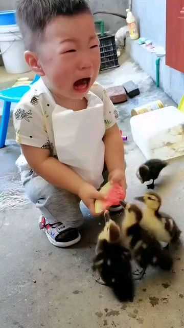 Baby Funny Videos, Funny Baby Videos, Funny Baby Gif, Paid Promotion, C Note, Baby Funny, Bad Behavior, Funny Video Clips, Cute Funny Babies