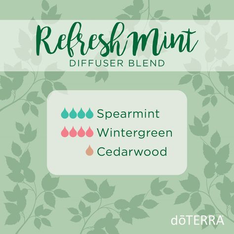 Mint Diffuser Blends, Melaleuca Essential Oil, Doterra Diffuser Blends, Yl Oils, Essential Oil Diffuser Recipes, Oil Diffuser Recipes, Diffuser Blend, Diffuser Recipes, Essential Oil Diffuser Blends