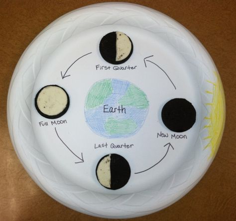 Moon Phases-project my students made Oreo Moon Phases Activity, Moon Phases Activities, Moon And Earth, Moon Science, Moon Activities, Space Activities For Kids, Space Lessons, Second Grade Science, 1st Grade Science