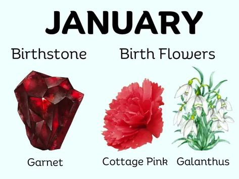 January Month Birthstone and Birth Flower January Symbols, January Season, Birth Symbols, January Born, Flower Symbolism, January Month, Witch Life, January Baby, Aries And Sagittarius